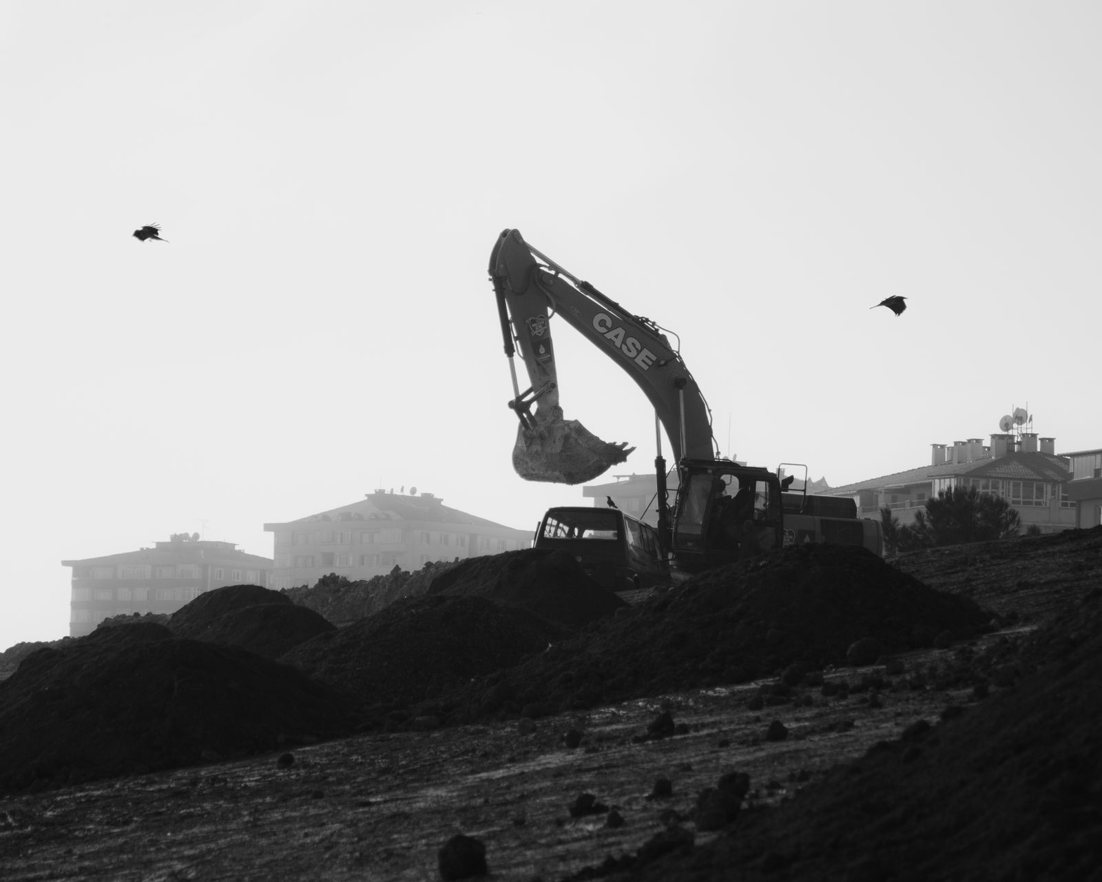 Excavator working on mounds of dark soil against a pale sky